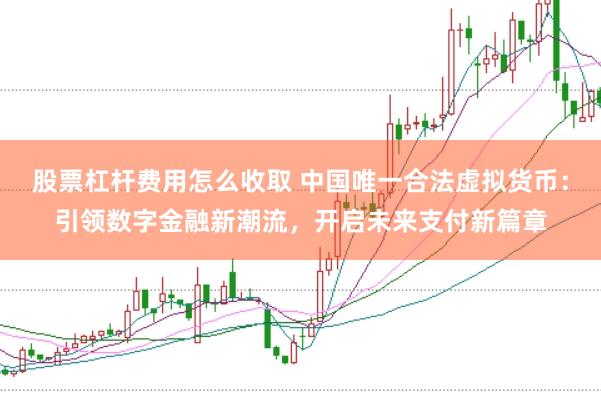 股票杠杆费用怎么收取 中国唯一合法虚拟货币：引领数字金融新潮流，开启未来支付新篇章