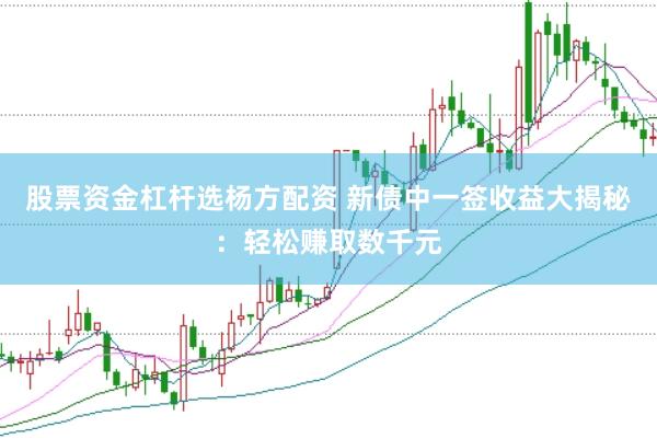 股票资金杠杆选杨方配资 新债中一签收益大揭秘:轻松赚取数千元