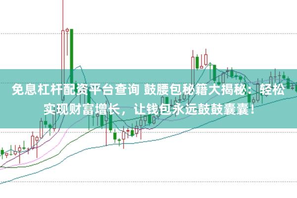 免息杠杆配资平台查询 鼓腰包秘籍大揭秘：轻松实现财富增长，让钱包永远鼓鼓囊囊！