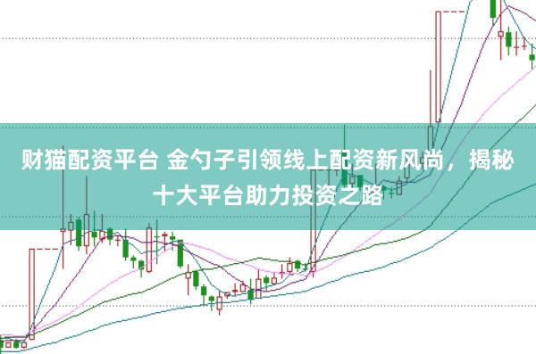 财猫配资平台 金勺子引领线上配资新风尚，揭秘十大平台助力投资之路