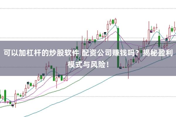 可以加杠杆的炒股软件 配资公司赚钱吗？揭秘盈利模式与风险！