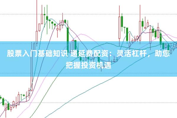 股票入门基础知识 递延费配资：灵活杠杆，助您把握投资机遇