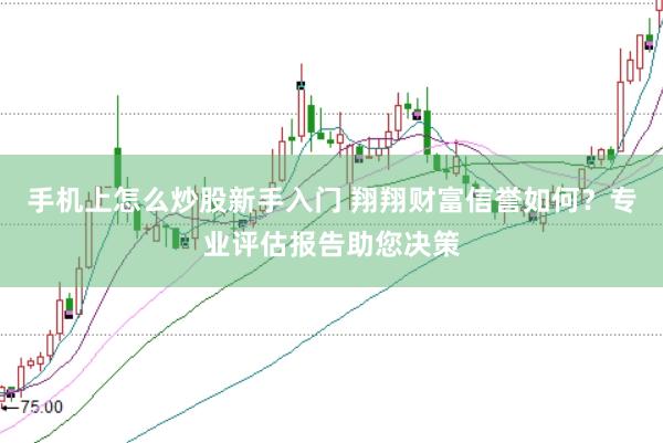 手机上怎么炒股新手入门 翔翔财富信誉如何?专业评估报告助您决策