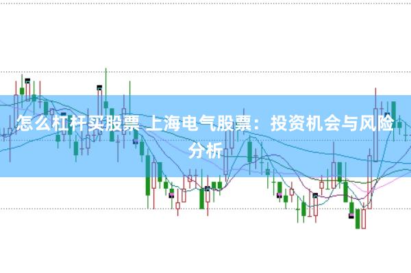 怎么杠杆买股票 上海电气股票：投资机会与风险分析