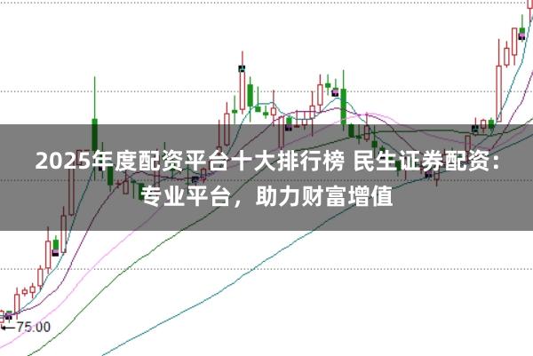 2025年度配资平台十大排行榜 民生证券配资:专业平台,助力财富增值
